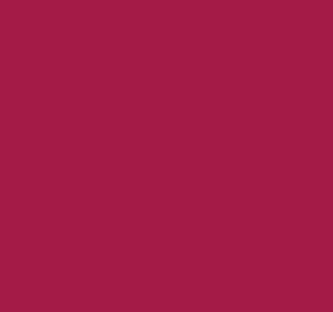 Model Color: Magenta – Bild 2