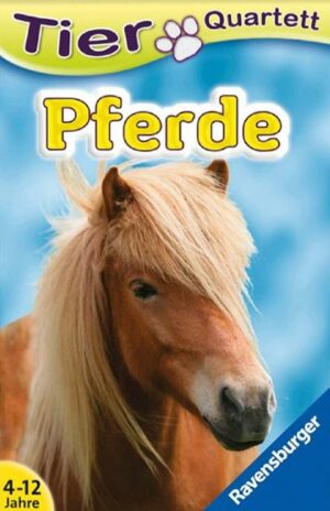 Tier Quartett: Pferde